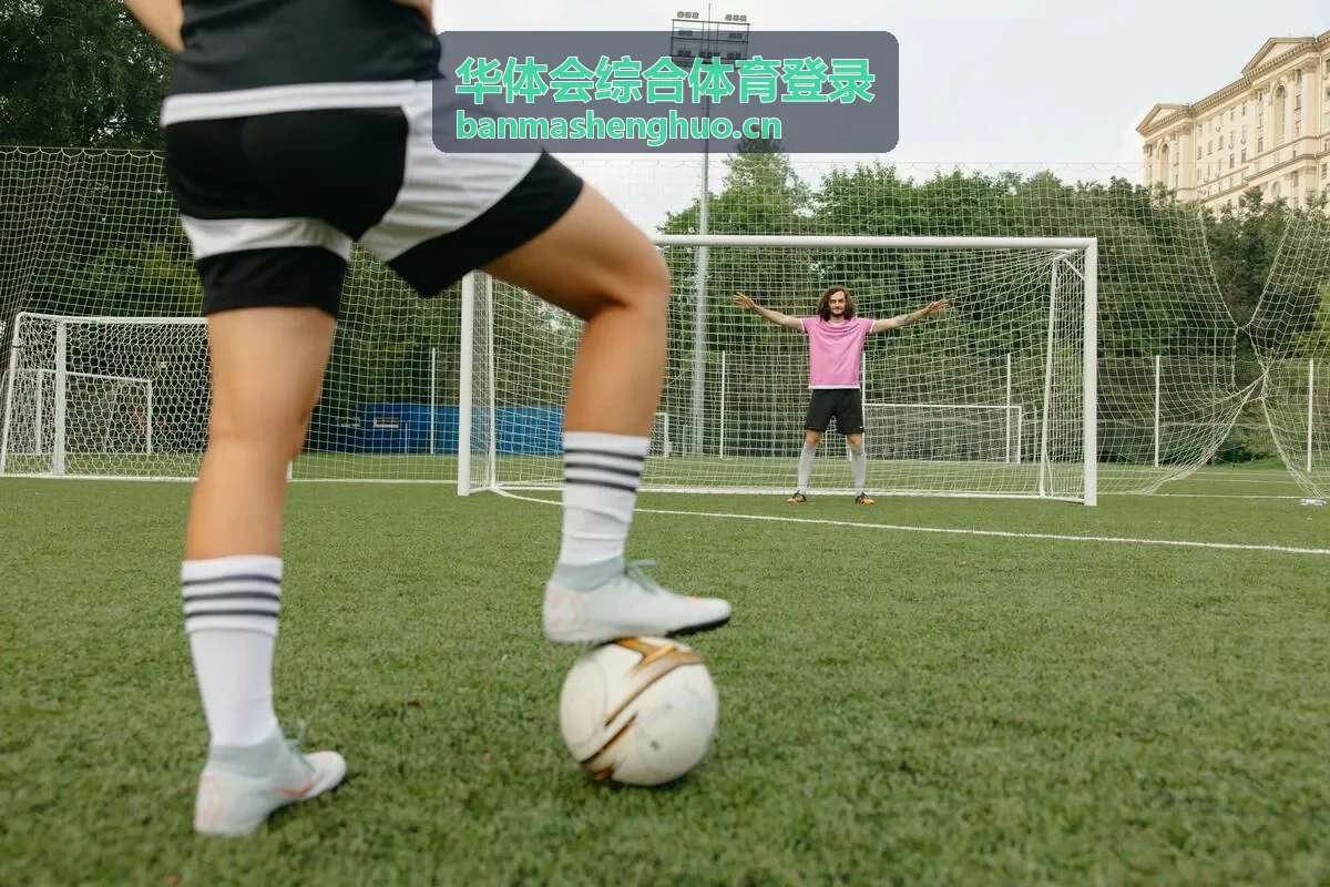 华体会综合体育登录设备切换后的验证流程配图
