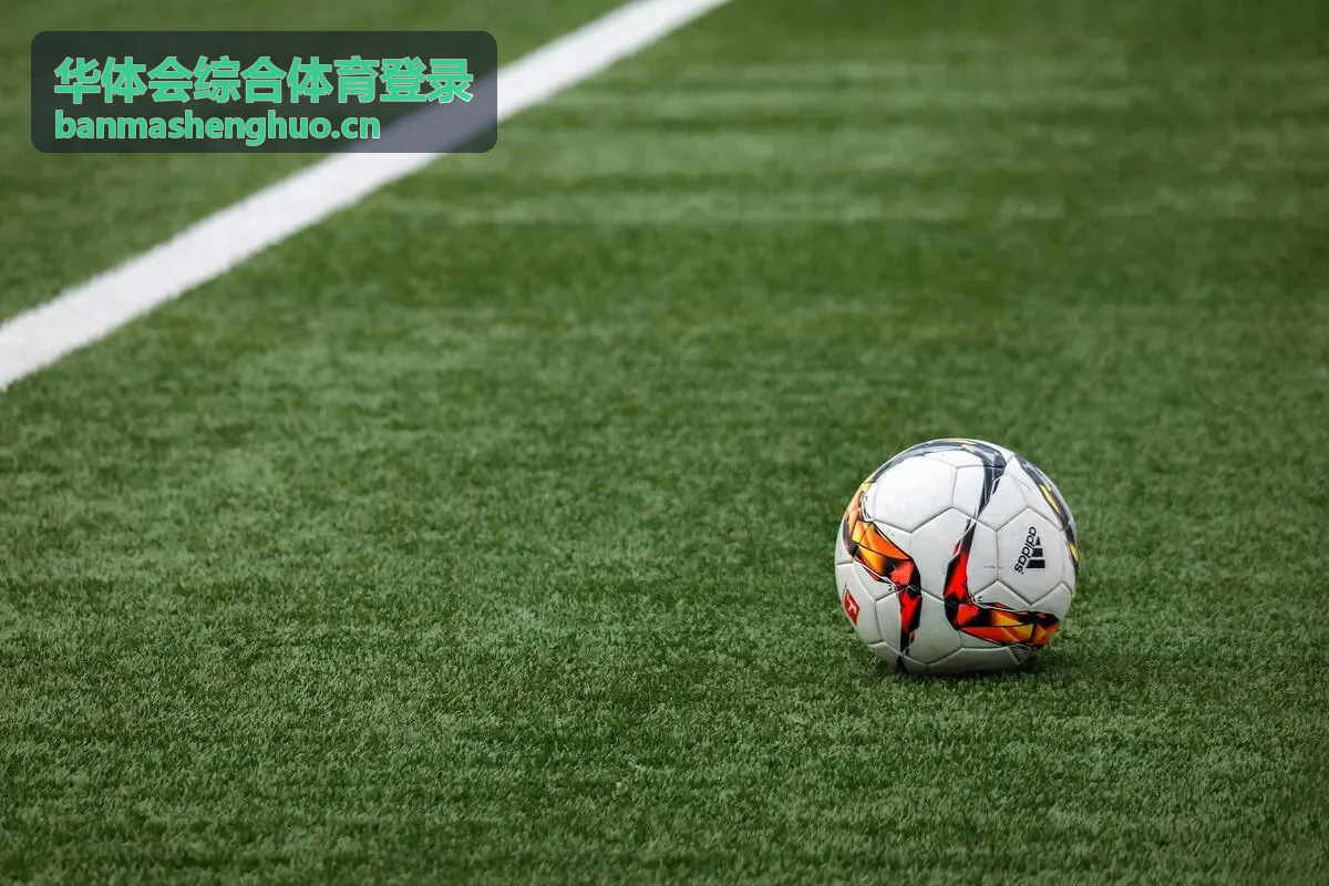 华体会综合体育登录设备与登录记录查看示意图